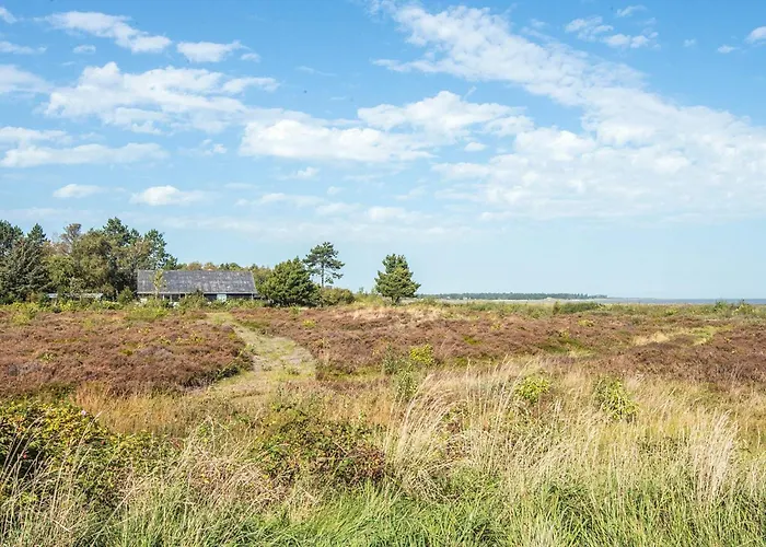 בית נופש 4 Person In Romo *